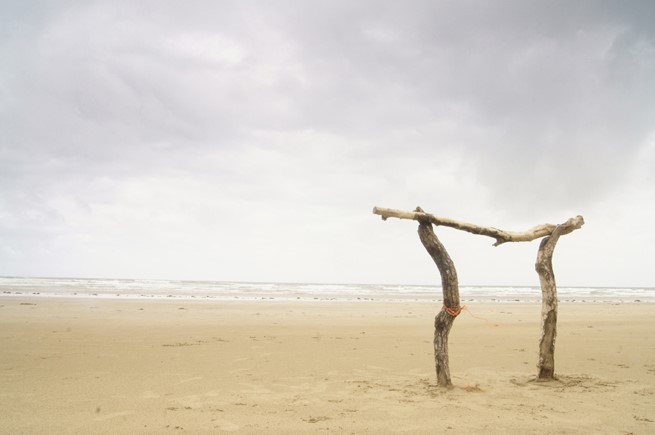 Driftwood beach arch, Woolacombe beach, 2015. Photo: James Tovey.