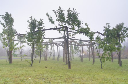 ‘Sun Henge’ at the Green Backyard, Peterborough, 2016. Photo: James Tovey